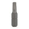 Биты Biber 84930 TORX-30 25 мм (100 шт.)